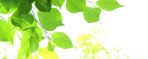 ボディセンス body sens販売サイトへ